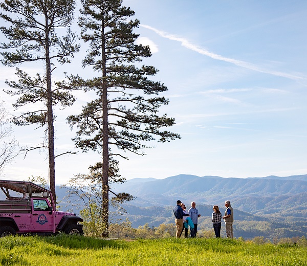Pink Jeep Tours