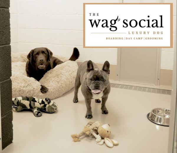 The Wag Social